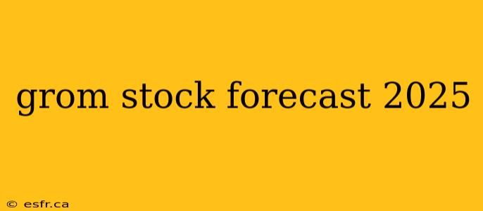 grom stock forecast 2025