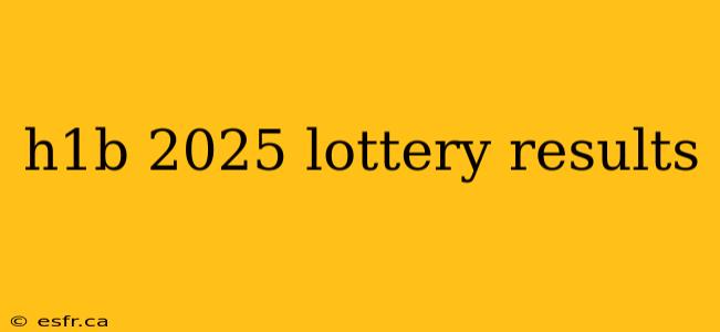 h1b 2025 lottery results