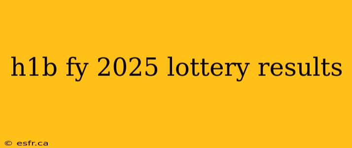 h1b fy 2025 lottery results