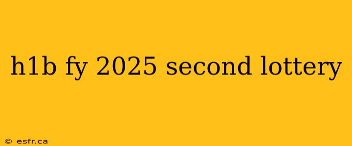 h1b fy 2025 second lottery