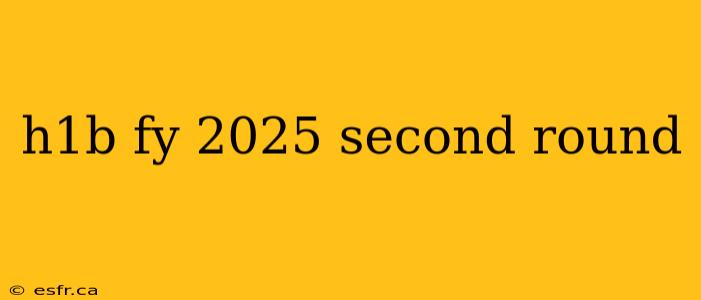 h1b fy 2025 second round