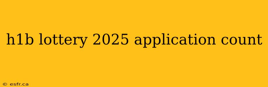 h1b lottery 2025 application count