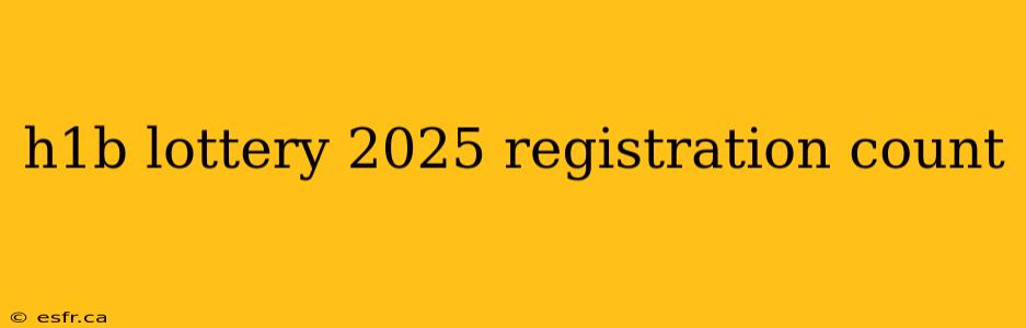 h1b lottery 2025 registration count