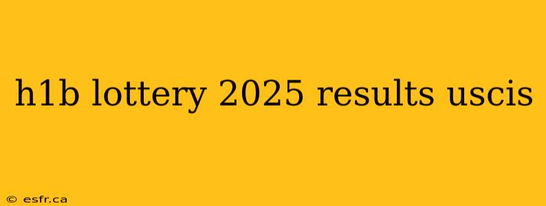 h1b lottery 2025 results uscis