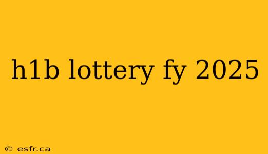 h1b lottery fy 2025