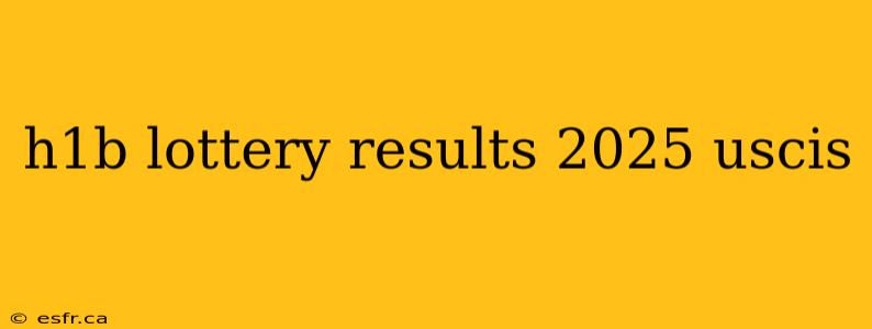 h1b lottery results 2025 uscis