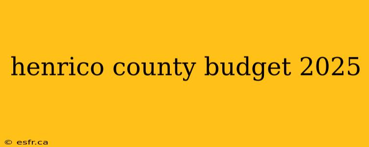 henrico county budget 2025