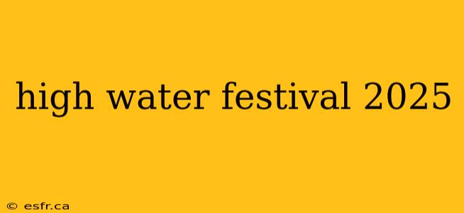 high water festival 2025