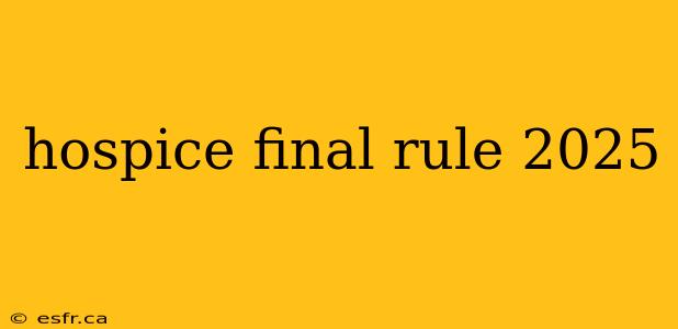 hospice final rule 2025