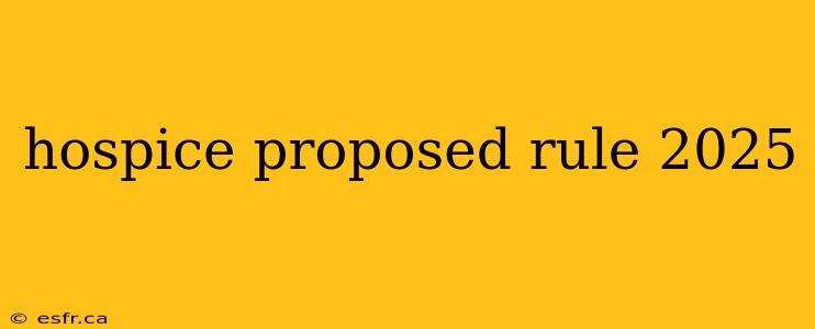 hospice proposed rule 2025