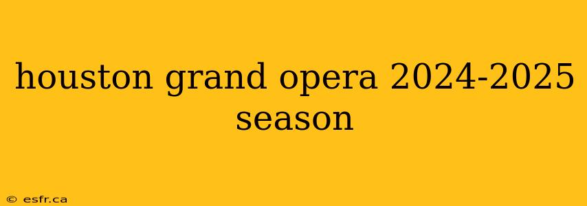 houston grand opera 2024-2025 season