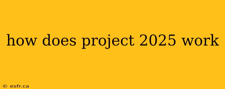 how does project 2025 work