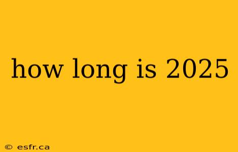 how long is 2025