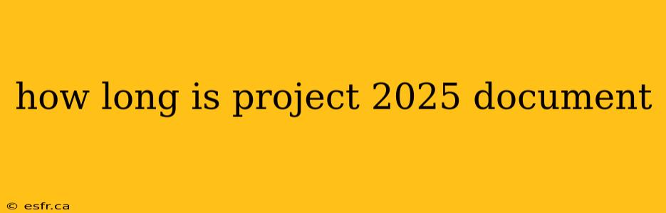 how long is project 2025 document