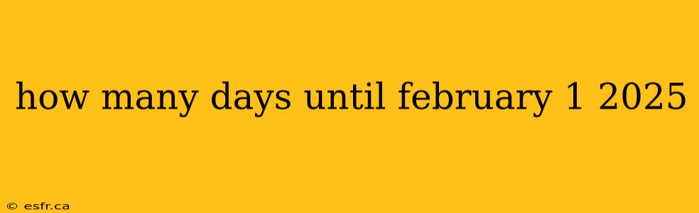 how many days until february 1 2025