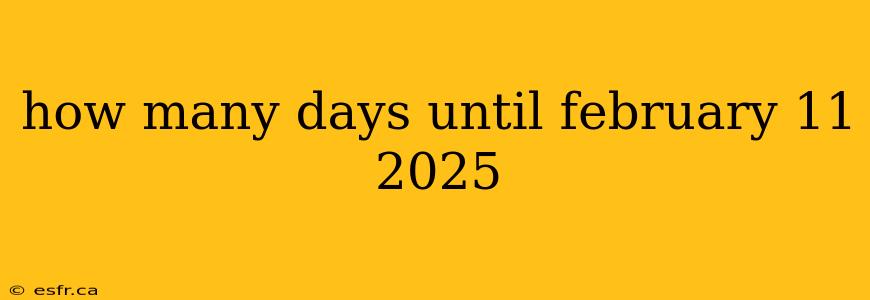 how many days until february 11 2025