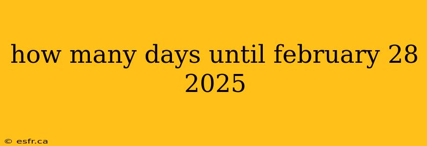 how many days until february 28 2025