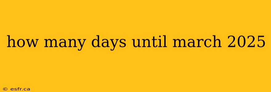 how many days until march 2025