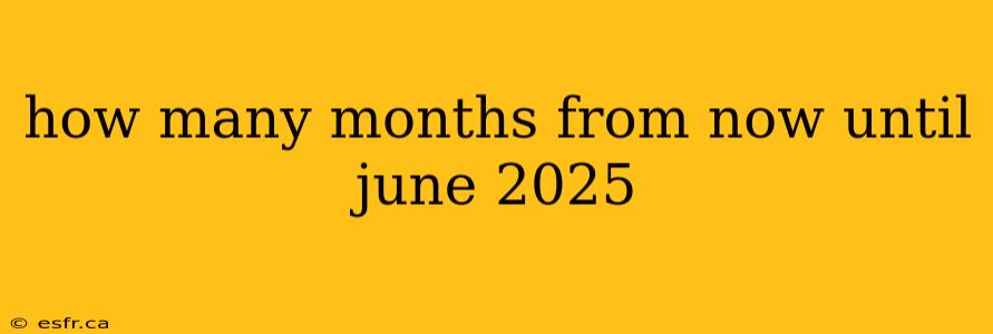 how many months from now until june 2025