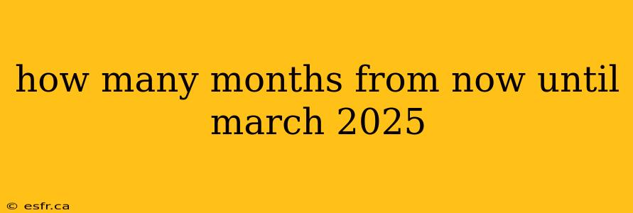 how many months from now until march 2025