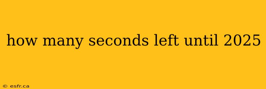 how many seconds left until 2025