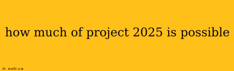 how much of project 2025 is possible