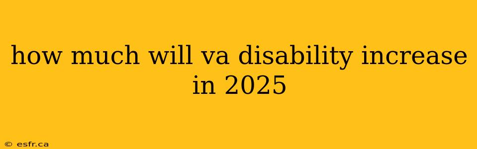 how much will va disability increase in 2025