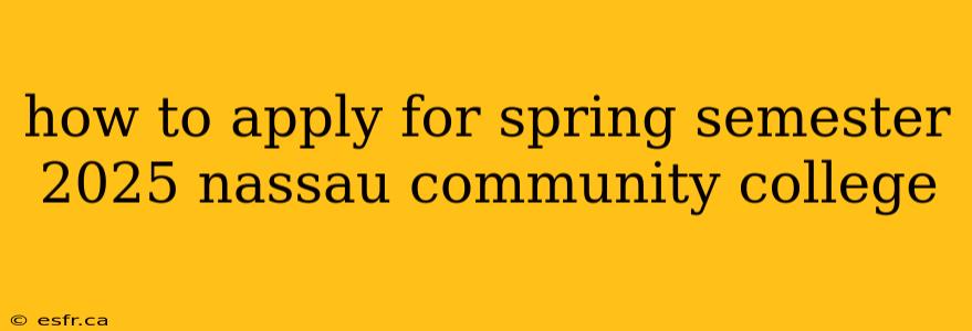 how to apply for spring semester 2025 nassau community college