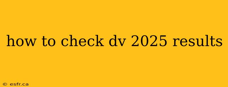 how to check dv 2025 results