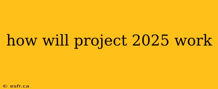 how will project 2025 work