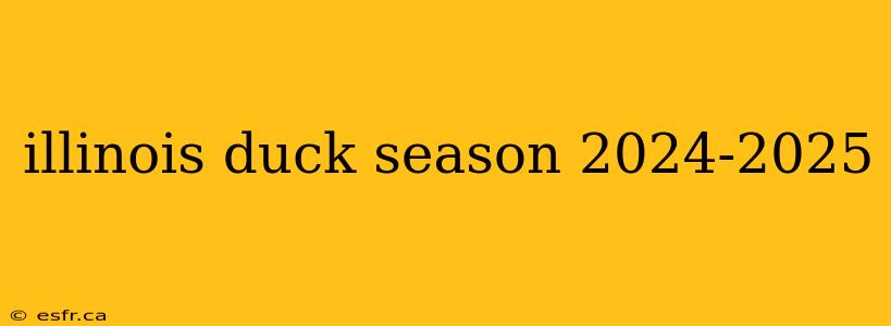 illinois duck season 2024-2025