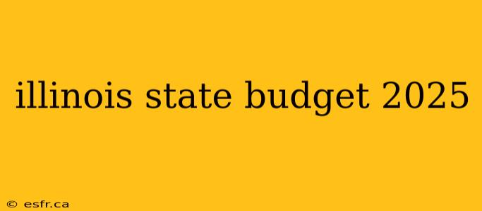 illinois state budget 2025