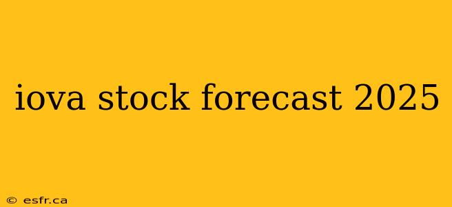 iova stock forecast 2025