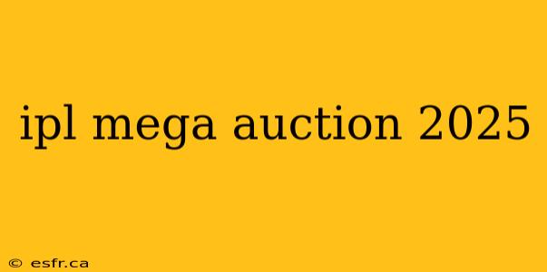 ipl mega auction 2025