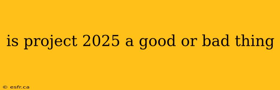 is project 2025 a good or bad thing