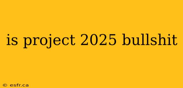 is project 2025 bullshit