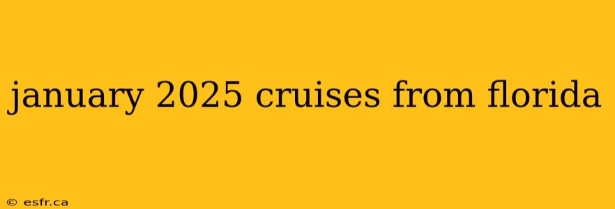 january 2025 cruises from florida