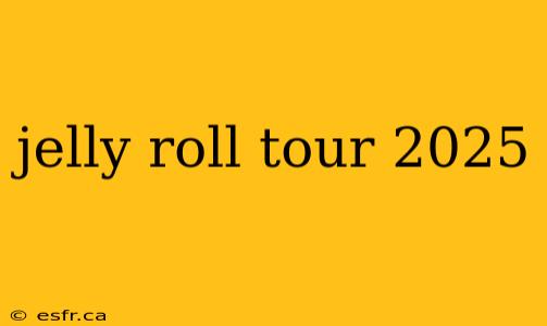 jelly roll tour 2025