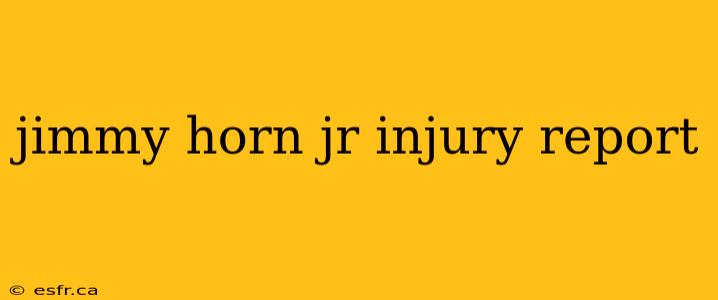 jimmy horn jr injury report