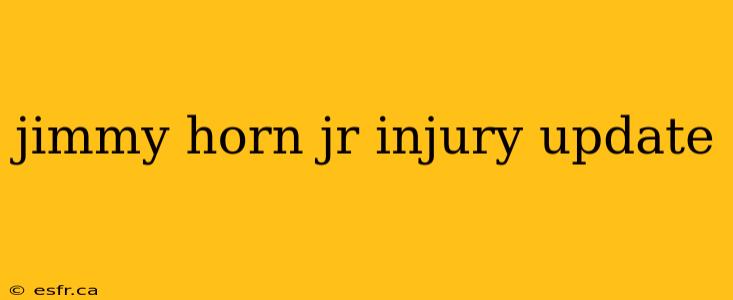 jimmy horn jr injury update