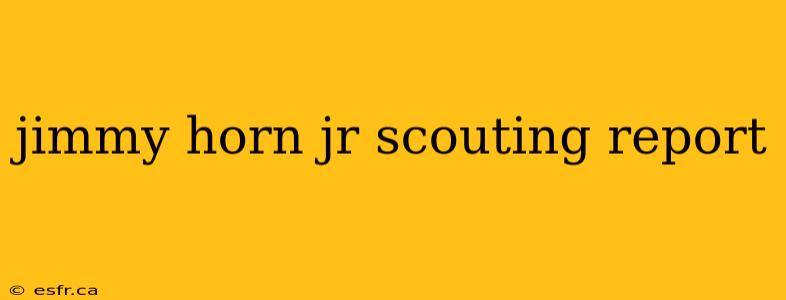 jimmy horn jr scouting report