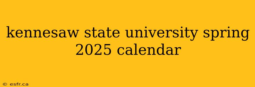 kennesaw state university spring 2025 calendar