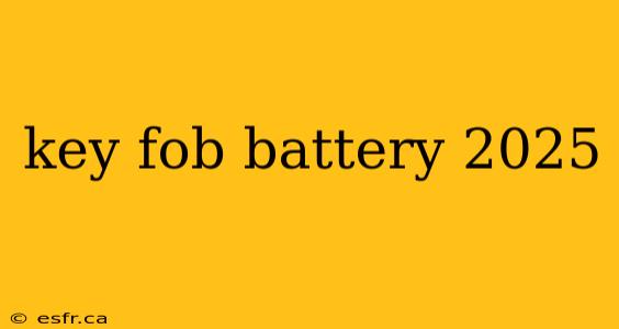 key fob battery 2025