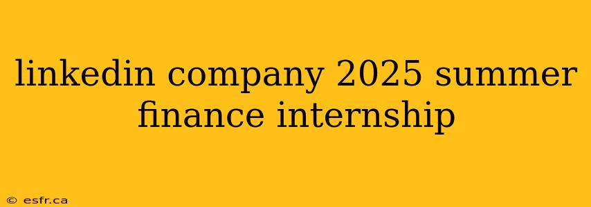 linkedin company 2025 summer finance internship