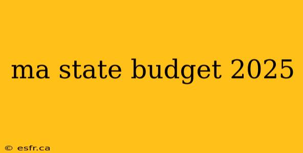 ma state budget 2025