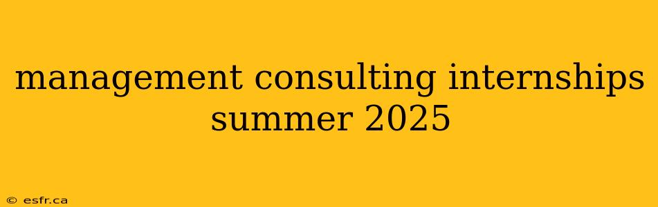 management consulting internships summer 2025