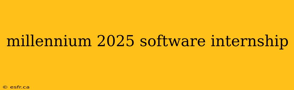 millennium 2025 software internship