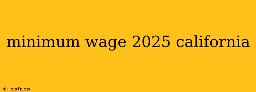 minimum wage 2025 california