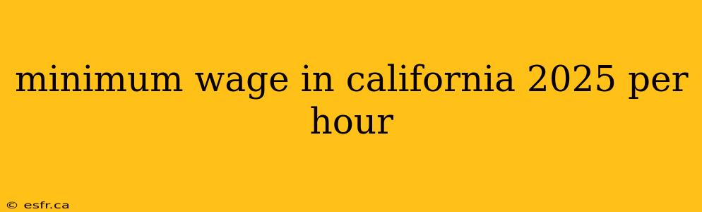 minimum wage in california 2025 per hour