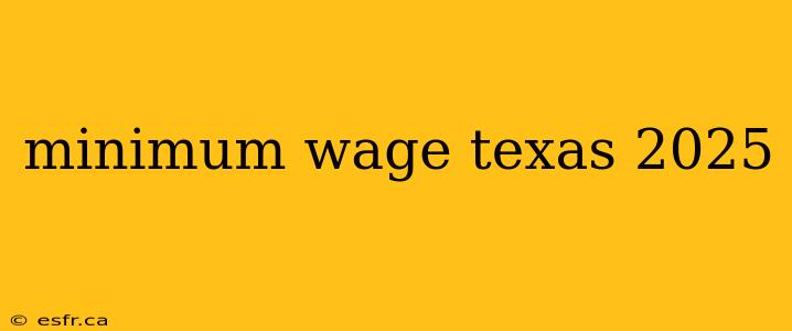 minimum wage texas 2025